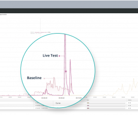 NeoLoad Web Live Test Results