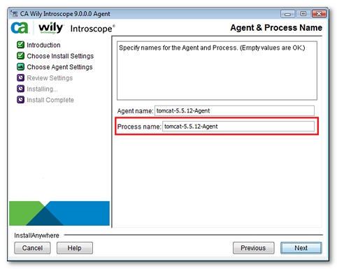 introscope_agent_process_name