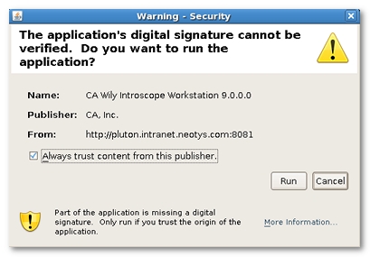 introscope_workstation_first_launching